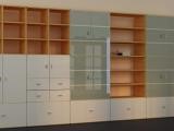 Glastüren für Bücherregale